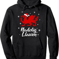 Men's Welsh Dragon Hoodie