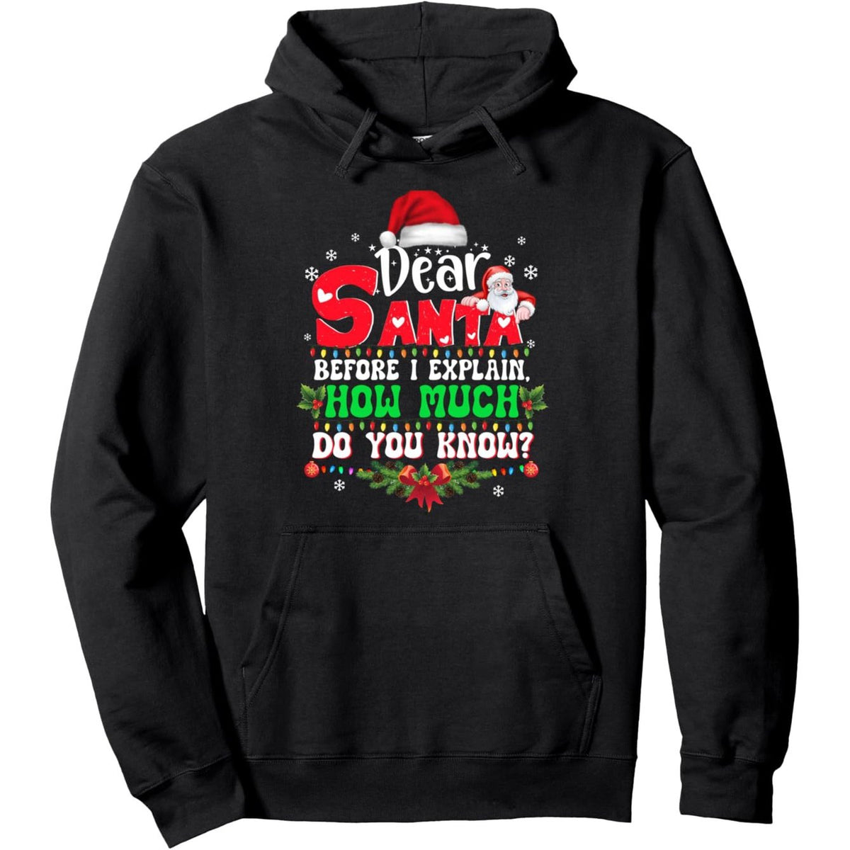 Men's Christmas Santa "I Can Explain" Hoodie
