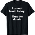 Funny "I'm Not Thinking Well Today, I Have a Fool" Novelty T-Shirt- 100% Cotton, 180gsm Fabric Weight, Breathable and, Ideal Gift for Friends and Family, Casual Wear, S-XXXL, Black, Cute T-Shirt, Machine washable