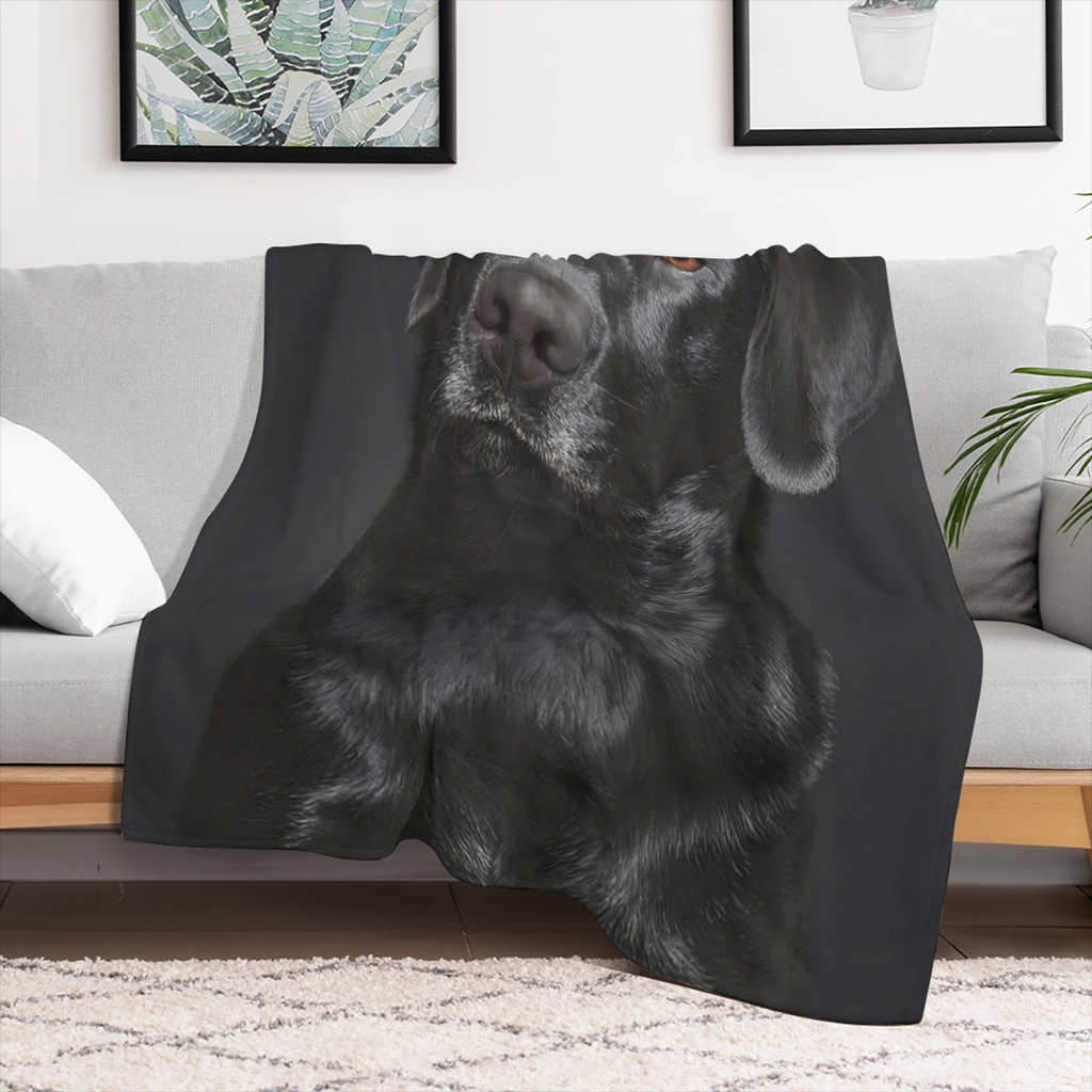 Black Lab Blanket, Gorgeous Labrador Dog Print, Soft Fluffy Fleece Throw
