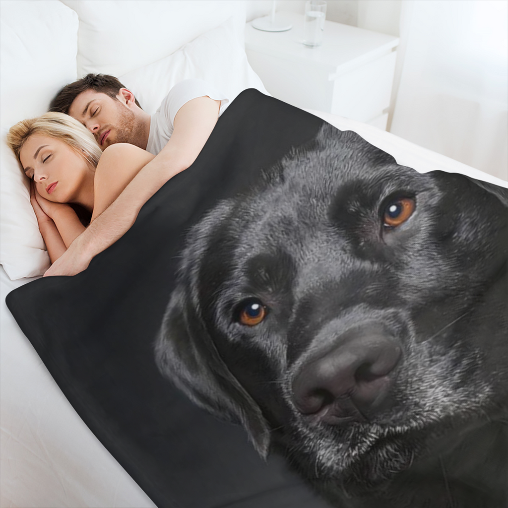 Black Lab Blanket, Gorgeous Labrador Dog Print, Soft Fluffy Fleece Throw