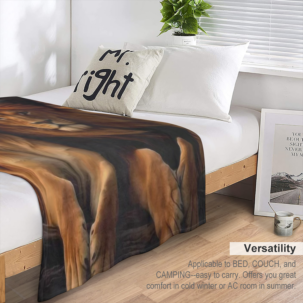 Cozy Bohemian Pattern Soft Warm 100 Polyester Machine Washable Perfect Gift for Friends Family Ideal for Napping Camping Travel and Home Decor 354
