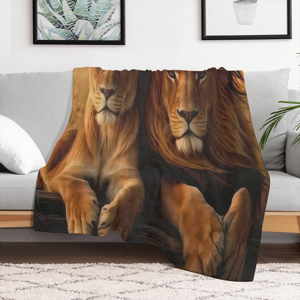 Cozy Bohemian Pattern Soft Warm 100 Polyester Machine Washable Perfect Gift for Friends Family Ideal for Napping Camping Travel and Home Decor 354
