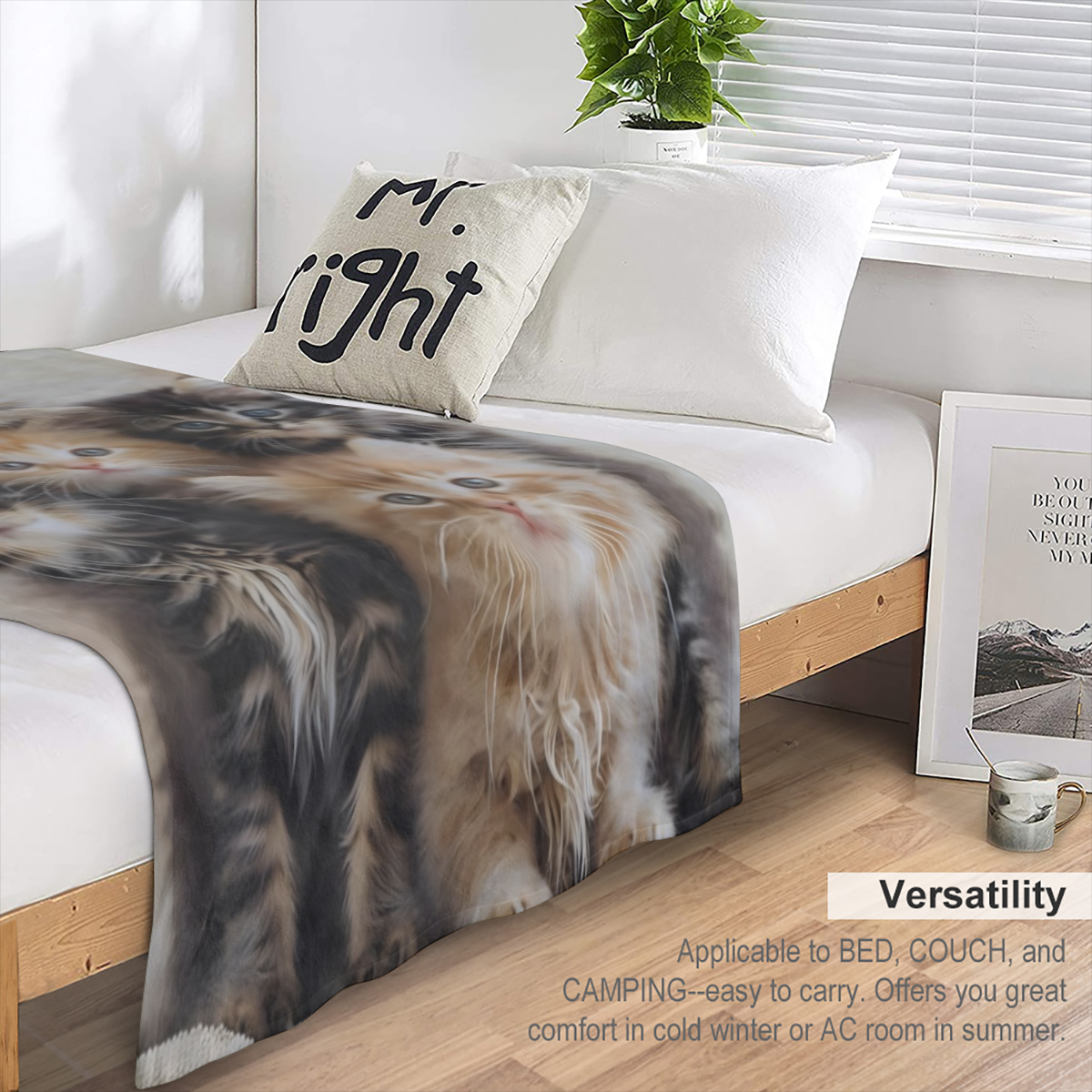 Cat Blanket, Kitten Flannel Blanket Gifts for Women, Soft Warm Lightweight Cat Blankets for Living Room Home Sofa Travel Decor 60 x 80
